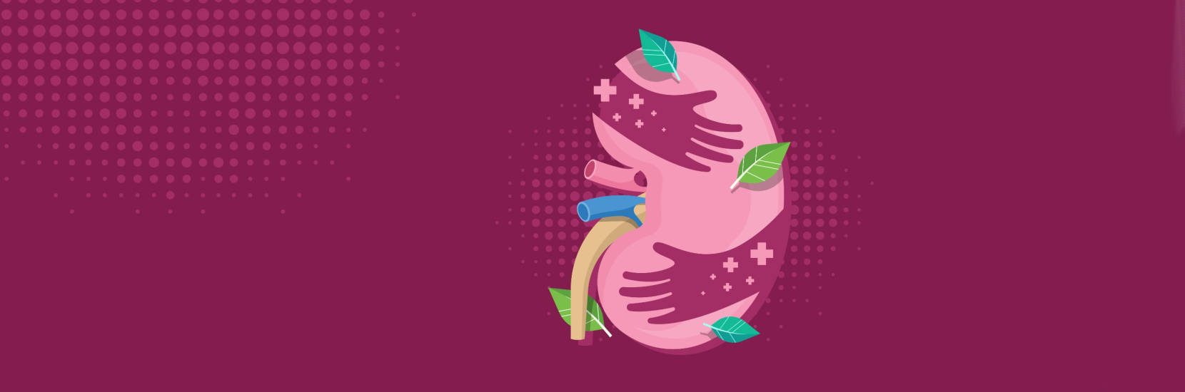 Journée mondiale du Rein 2026