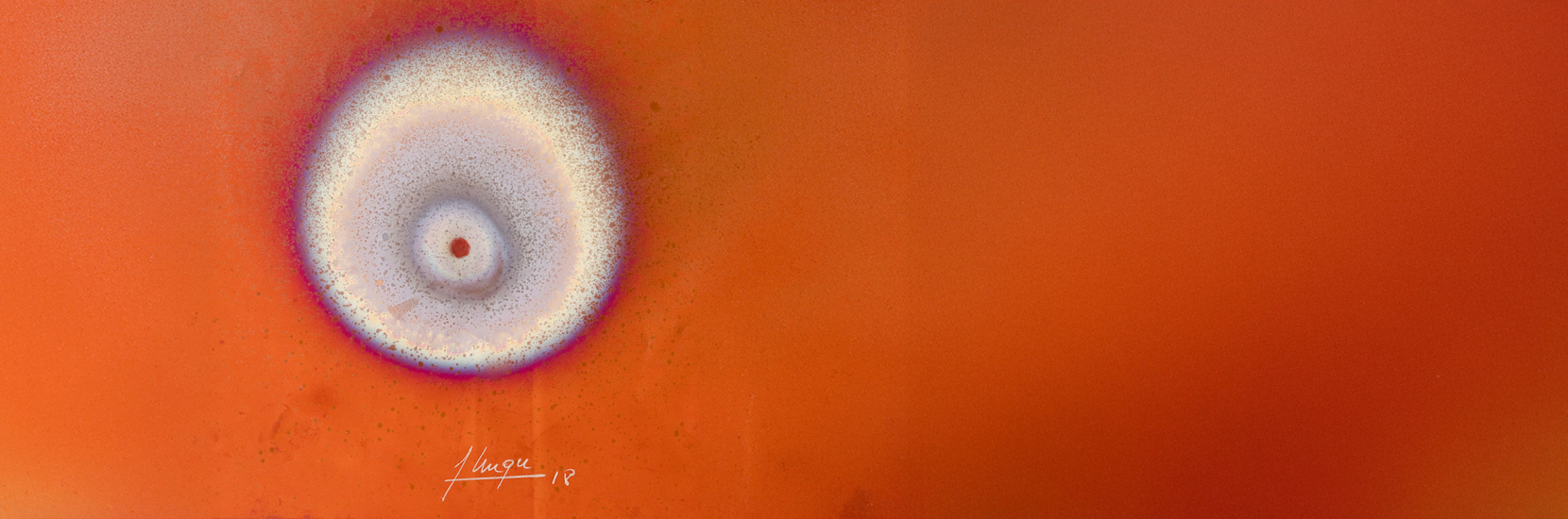 Journée Mondiale contre le SIDA : Vernissage de l’exposition « COULEURS DE VIE »